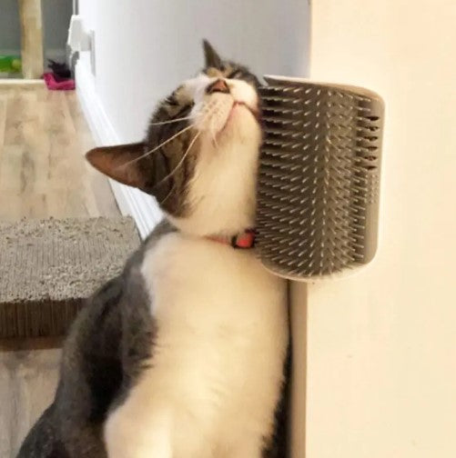 Self-cleaning slicker brushes