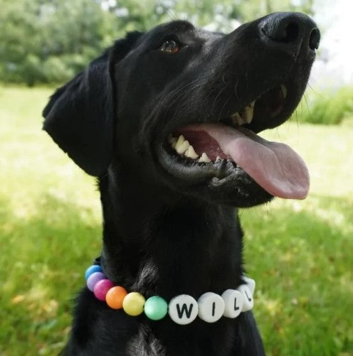 Size adjustable neklace style matching pet collar