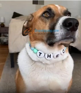 Size adjustable neklace style matching pet collar
