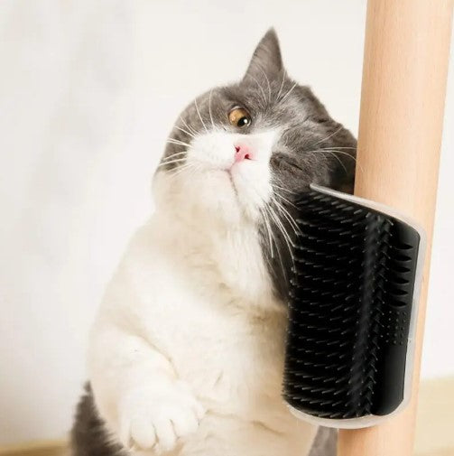 Self-cleaning slicker brushes