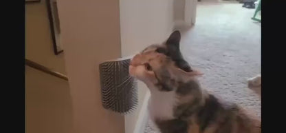 Self-cleaning slicker brushes
